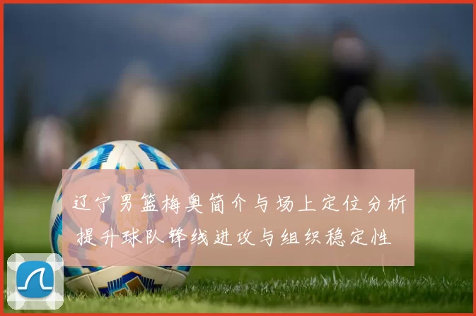 辽宁男篮梅奥简介与场上定位分析 提升球队锋线进攻与组织稳定性