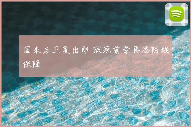 国米后卫复出即 欧冠前景再添防线保障