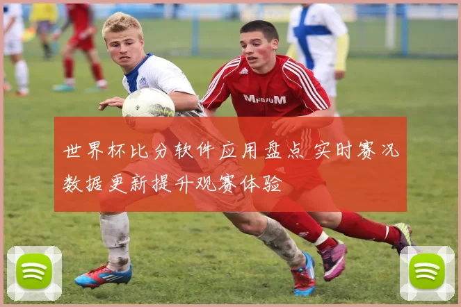世界杯比分软件应用盘点 实时赛况数据更新提升观赛体验