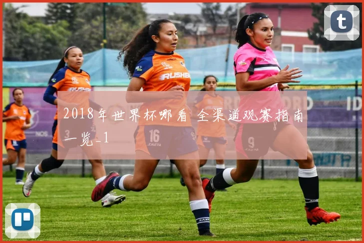 2018年世界杯哪看 全渠道观赛指南一览_1